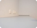 DSC 0443