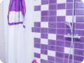 IMG 7231