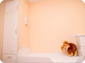 IMG 4347