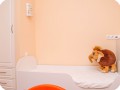 IMG 4348